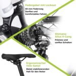 DERUIZ Quartz 28 Zoll E-Bike Damen & Herren, Elektrofahrrad City & Trekking, 48V Akku, bis 161 km Reichweite, 8-Gang-Schaltung, 55 Nm Drehmoment, App-Steuerung, hydraulische Scheibenbremsen