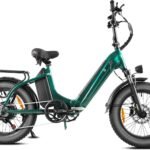 E Bike Klapprad 20 Zoll Elektrofahrräder, E-Faltrad Damen und Herren, 48V 18A*2 Doppelbatterien|250W Heckmotor 80N.m & 25km/h, Hydraulische Bremse, Tiefeinsteiger E-City Bike/Pedelec für Erwachsene