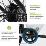 DERUIZ Quartz 28 Zoll E-Bike Damen & Herren, Elektrofahrrad City & Trekking, 48V Akku, bis 161 km Reichweite, 8-Gang-Schaltung, 55 Nm Drehmoment, App-Steuerung, hydraulische Scheibenbremsen