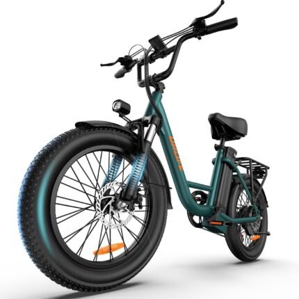 URLIFE E-Bike für Erwachsene, 20 * 3.0" Fetter Reifen Elektrofahrrad Für Stadtpendler, 48V 13Ah Austauschbarem Akku bis 100KM, 250W Motor mit LCD Display, 7 Gang Elektrofahrräder Für Herren Damen