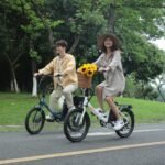 Fafrees E-Bike Klapprad 20 Zoll, Elektrofahrrad Ebike Herren 36V 16.75Ah/20Ah Akku, E-Fahrrad Damen 250W, Pedelec 25km/h, Reichweite bis zu 130 km, F20 Light